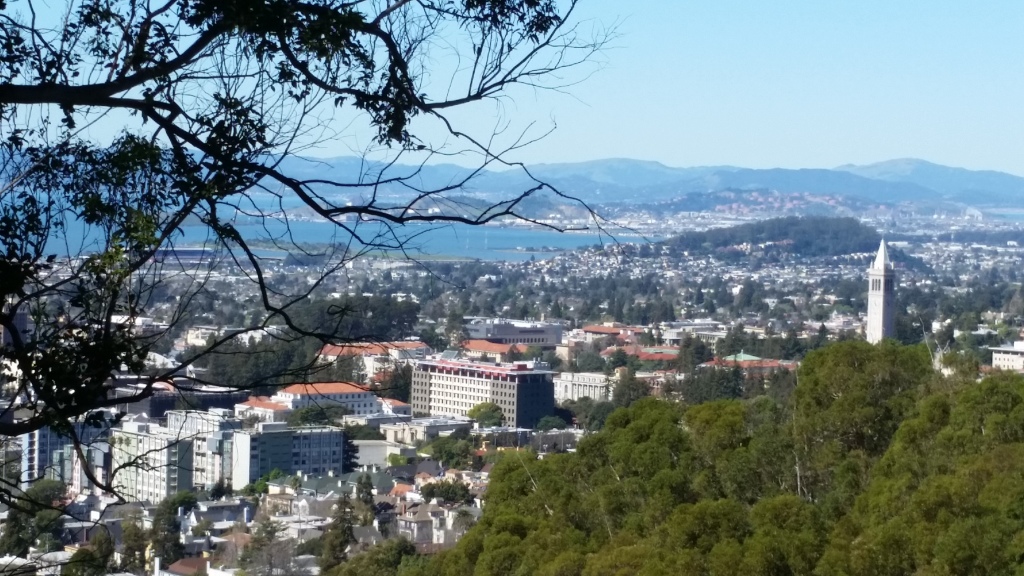 The University of California Berkeley campus