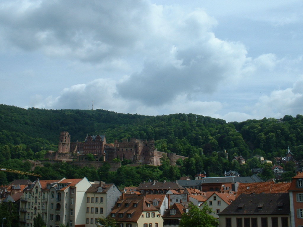 Heidelberg town and castle