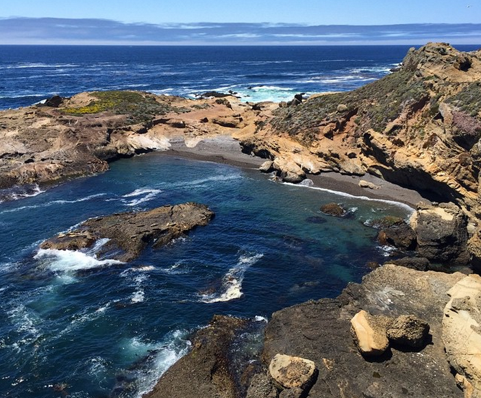 Sea-Lion-Trail-Point-Lobos-Monterey-Bay